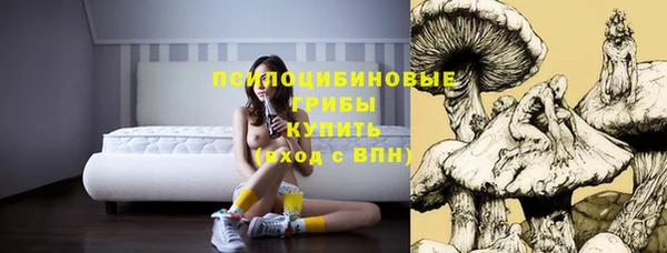 молекула духа Абинск
