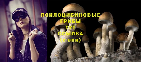 молекула духа Абинск