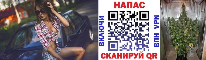 закладки  Карачев  МАРИХУАНА OG Kush 